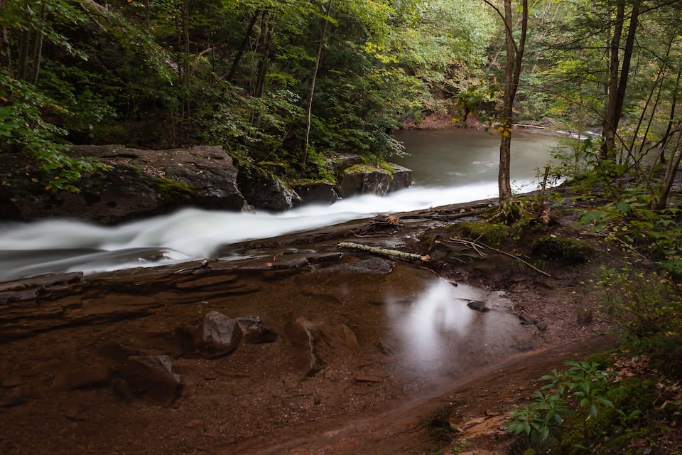 A river flowing through a forest with rocks and trees.