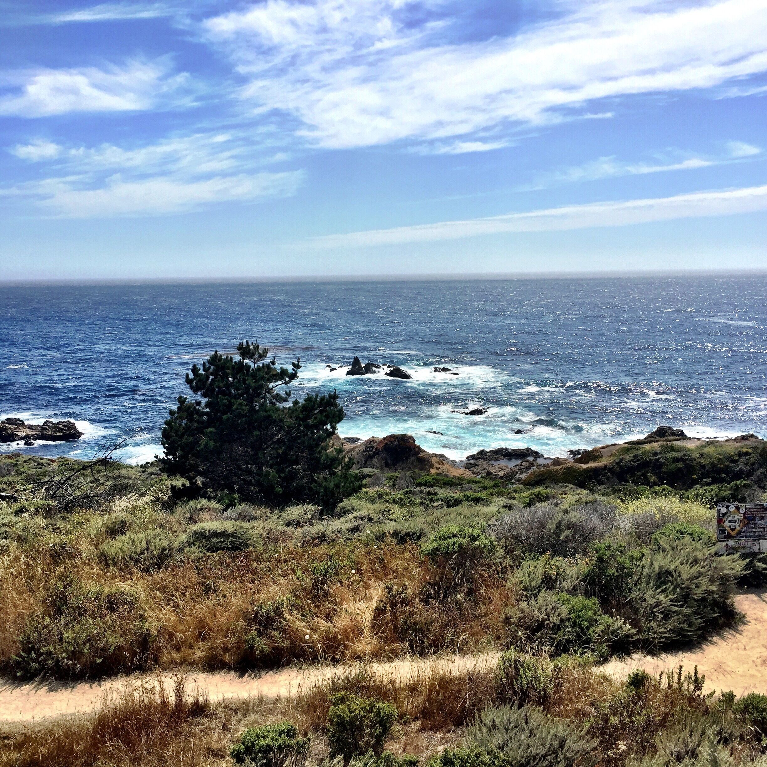 Garrapata State Park is a nice walk among the dunes down to the beach with great views of the Pacific.