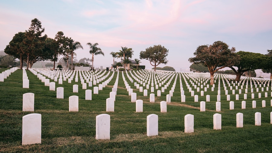 Fort Rosecrans National Cemetery showing a cemetery and military items