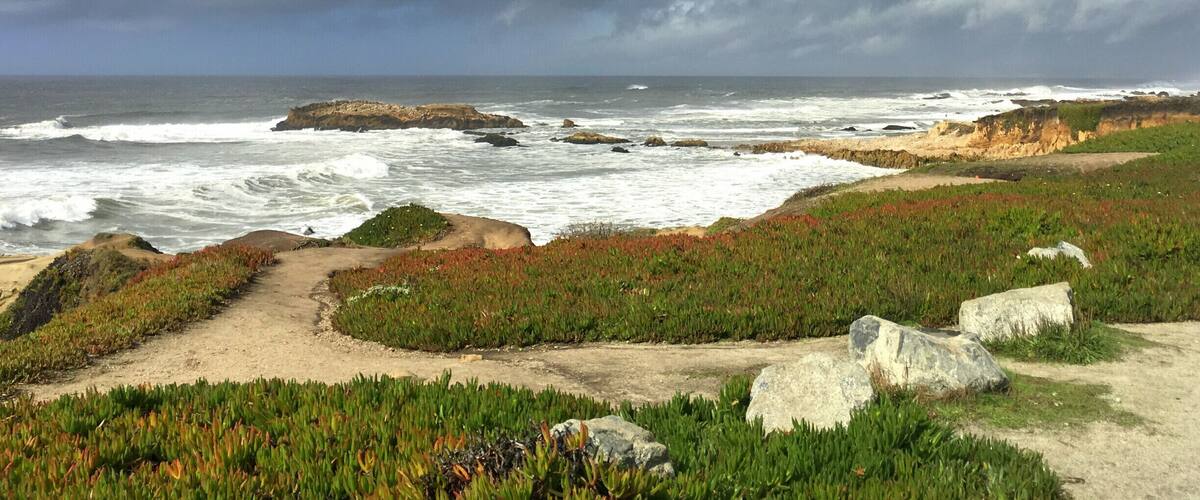 This is a must stop on the PCH! This beach has a mile-long shoreline with sandy coves, rocky cliffs, tide pools, fishing spots, and picnic facilities. Across the highway is Pescadero Marsh Natural Preserve, a popular spot for bird watchers and other naturalists. The Reserve is a refuge for wildlife such as: blue herons, kites, deer, raccoons, foxes, and skunks. #roadtrip #nature #ocean #flowers #animals #hiking #travel #view #BeachTips