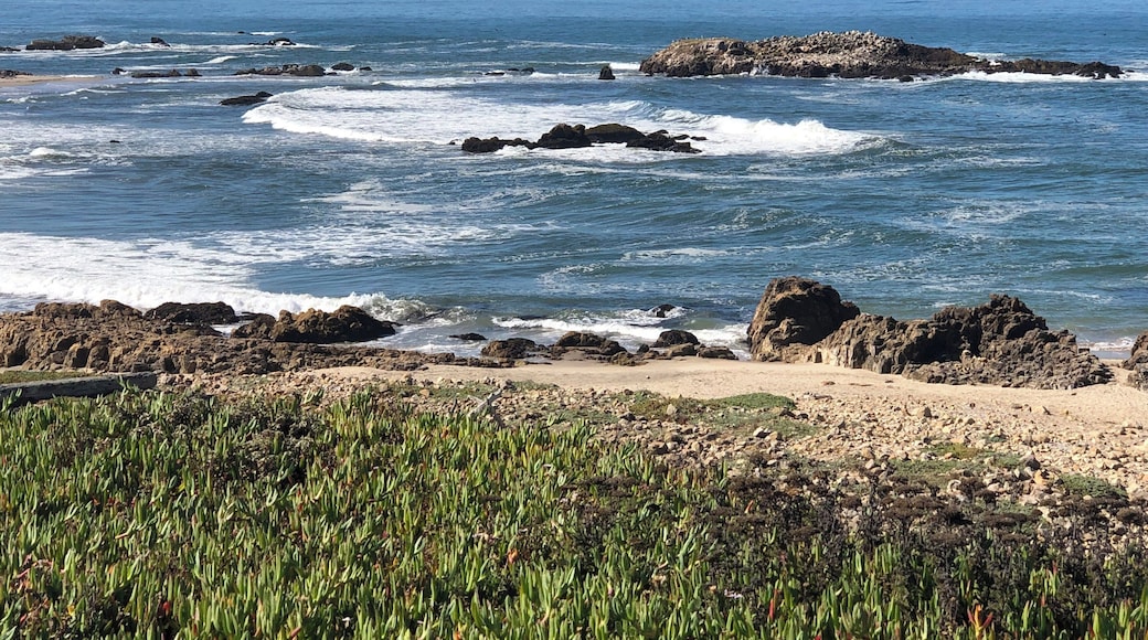 One of many places to stop.