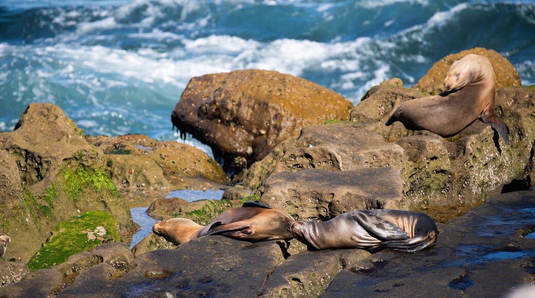 Ellen Browning Scripps Park