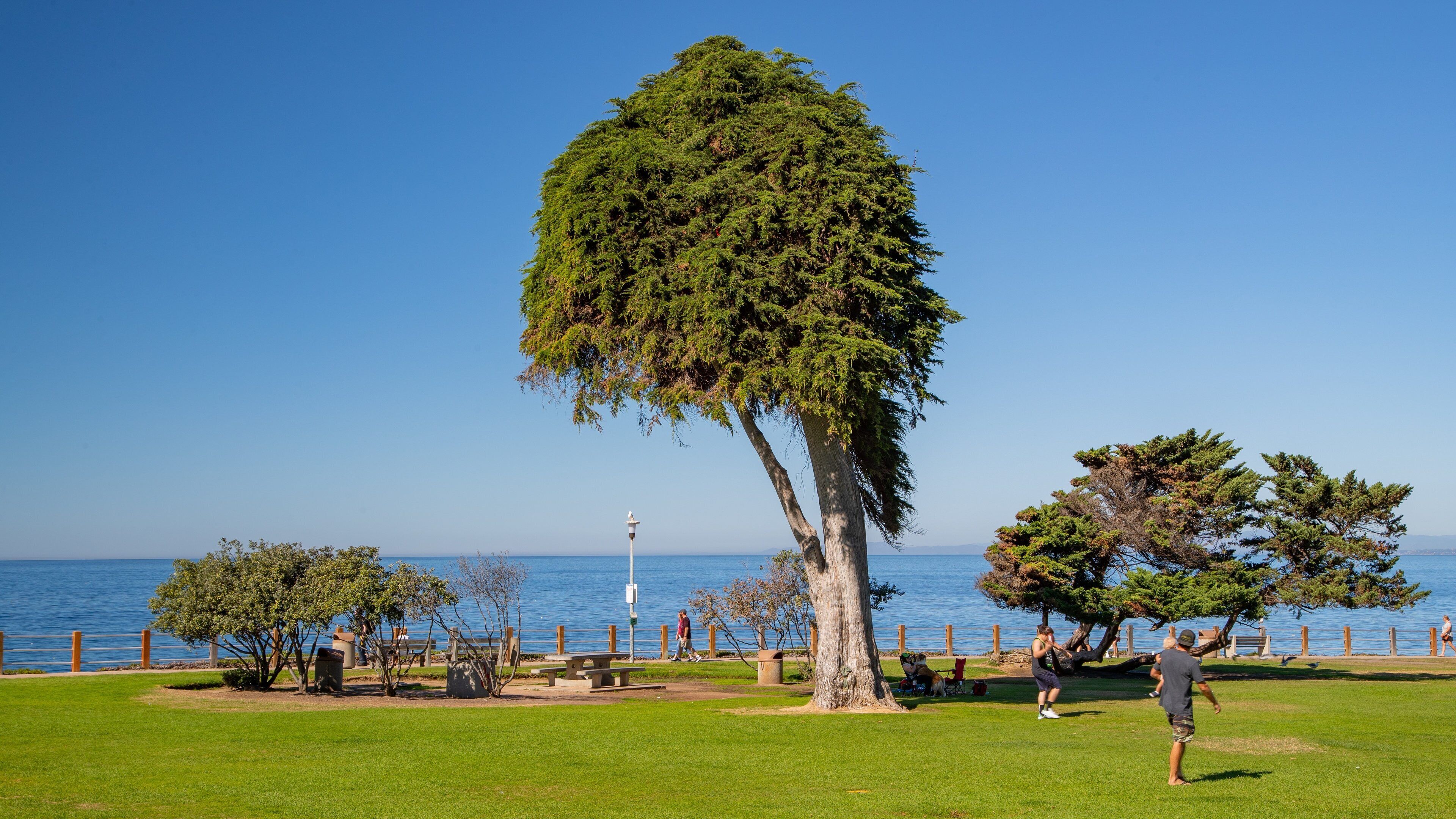 Ellen Browning Scripps Park