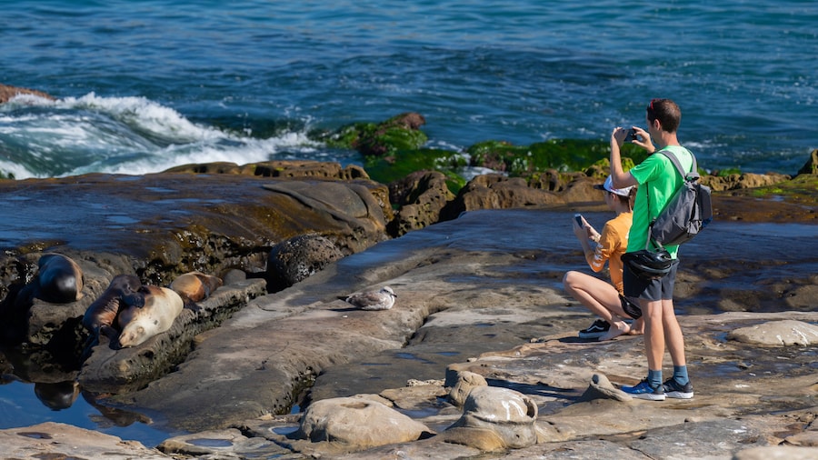 Ellen Browning Scripps Park