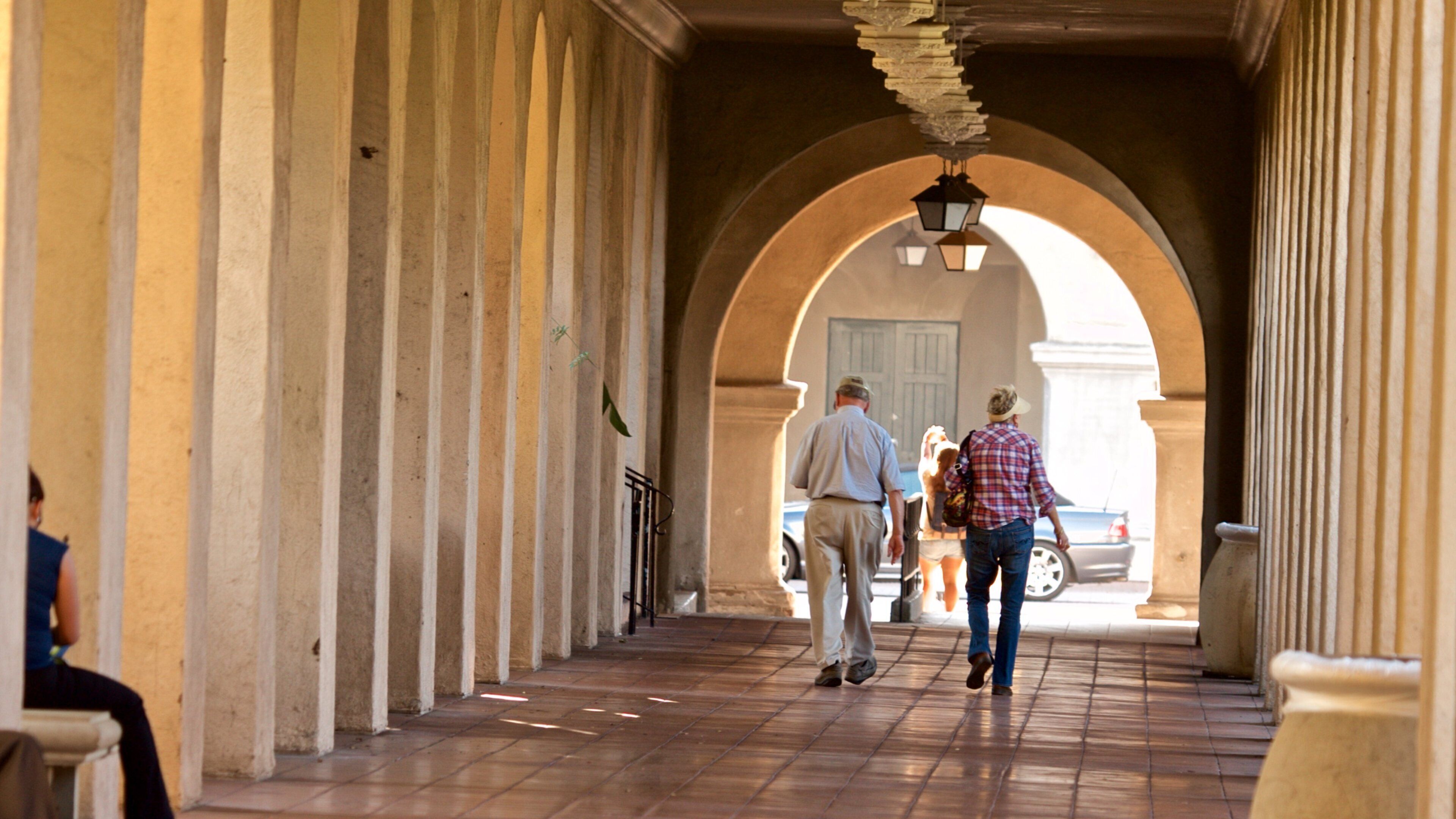 Alcazar Garden featuring street scenes as well as a couple