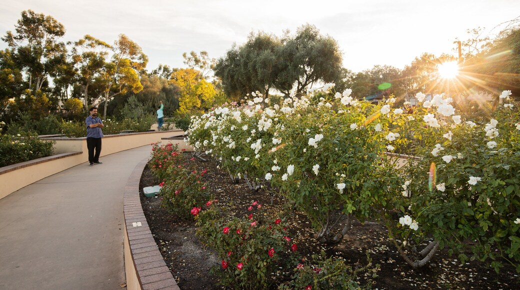 Inez Grant Parker Memorial Rose Garden