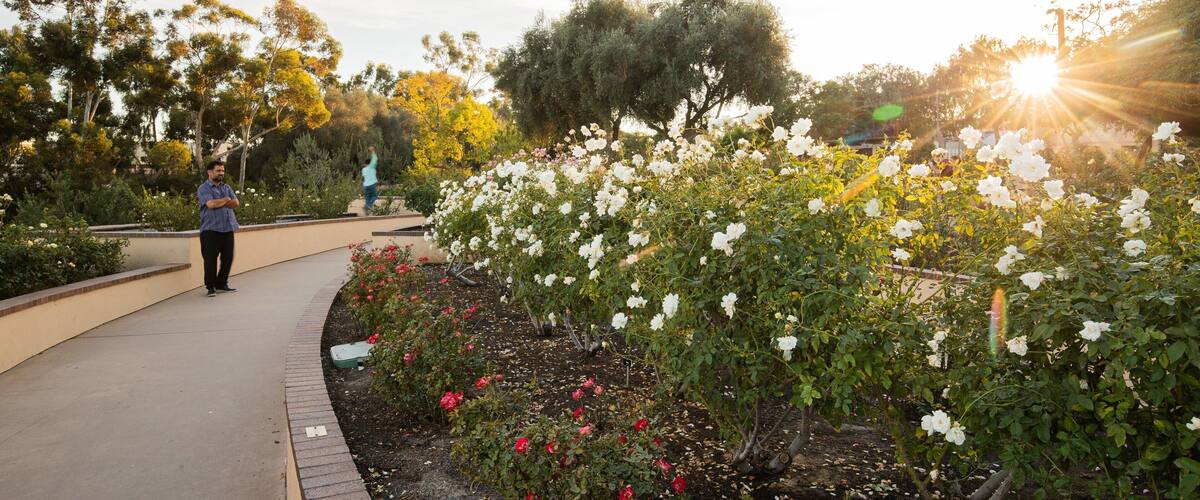 Inez Grant Parker Memorial Rose Garden