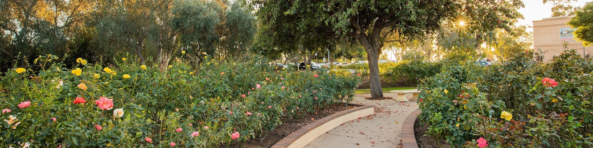 Inez Grant Parker Memorial Rose Garden featuring a park and wildflowers