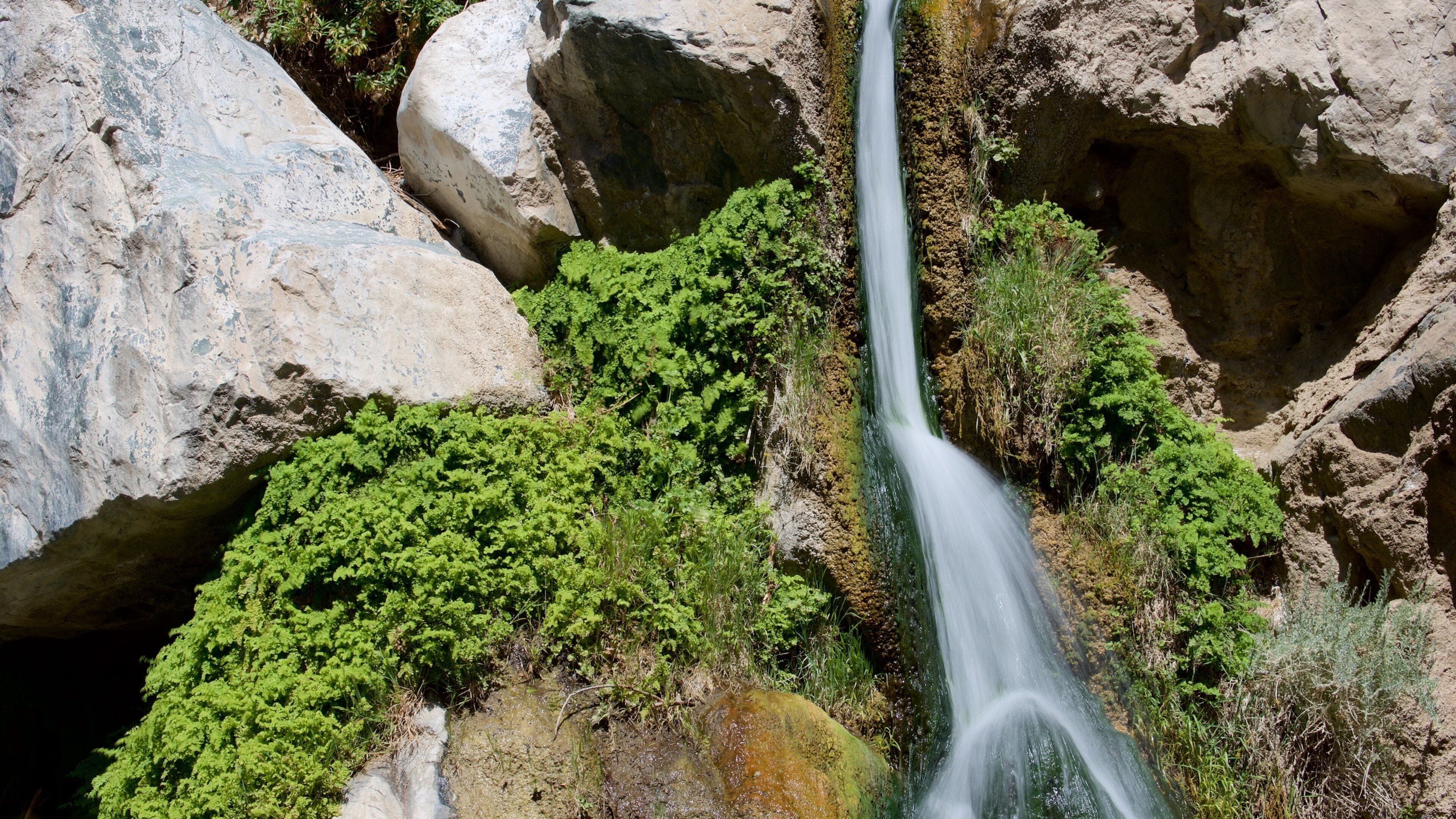 Darwin Falls featuring a cascade