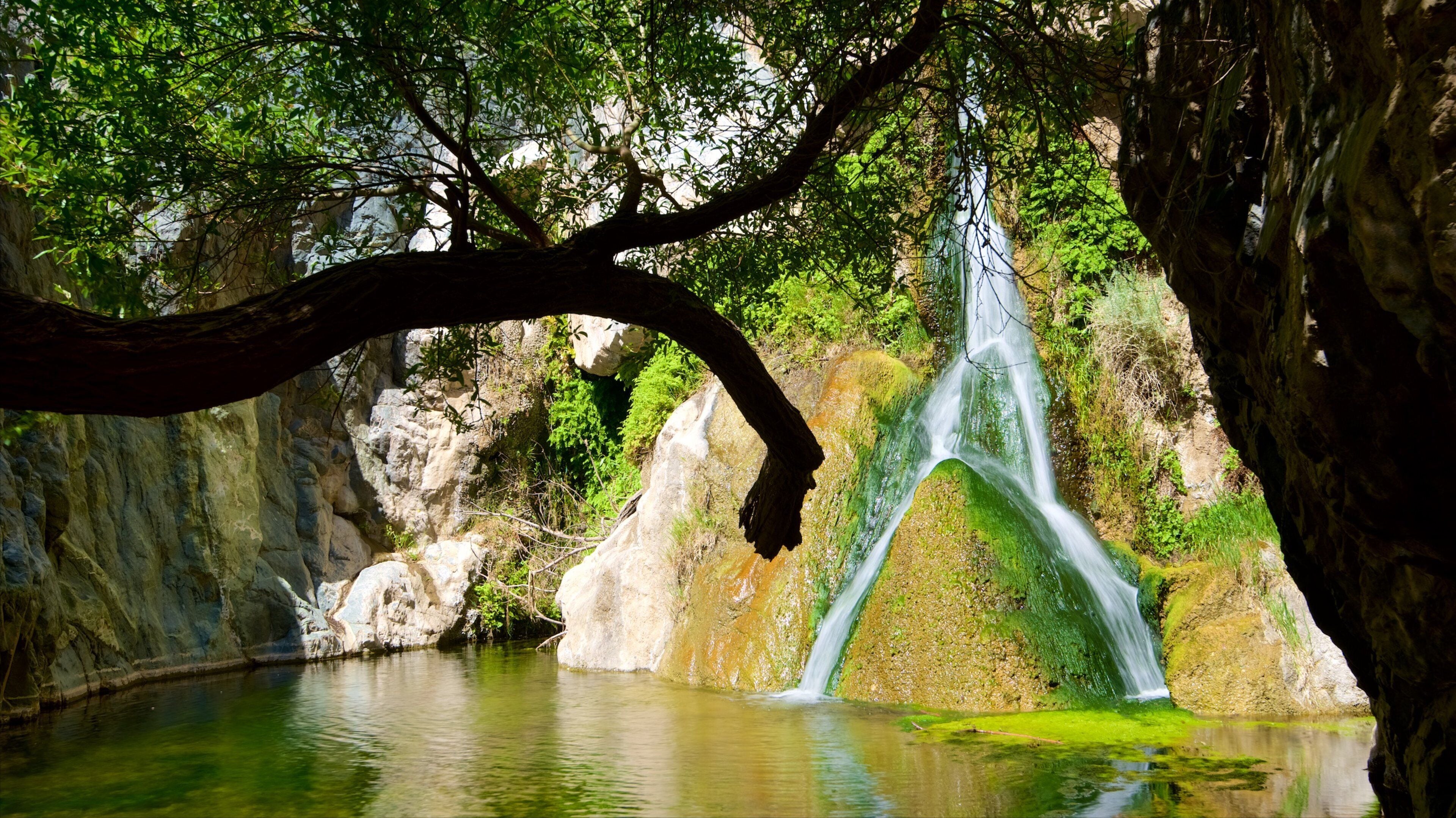 Death Valley featuring a gorge or canyon and a river or creek