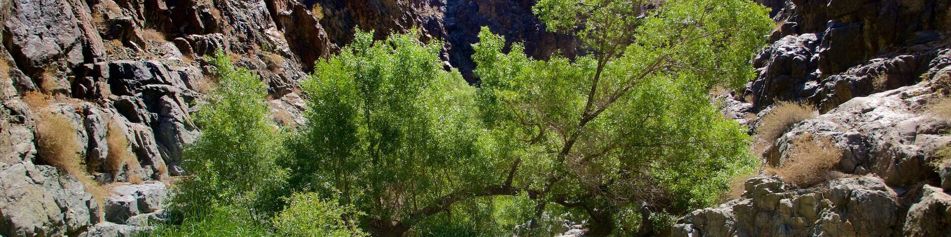 Darwin Falls que incluye un barranco o cañón