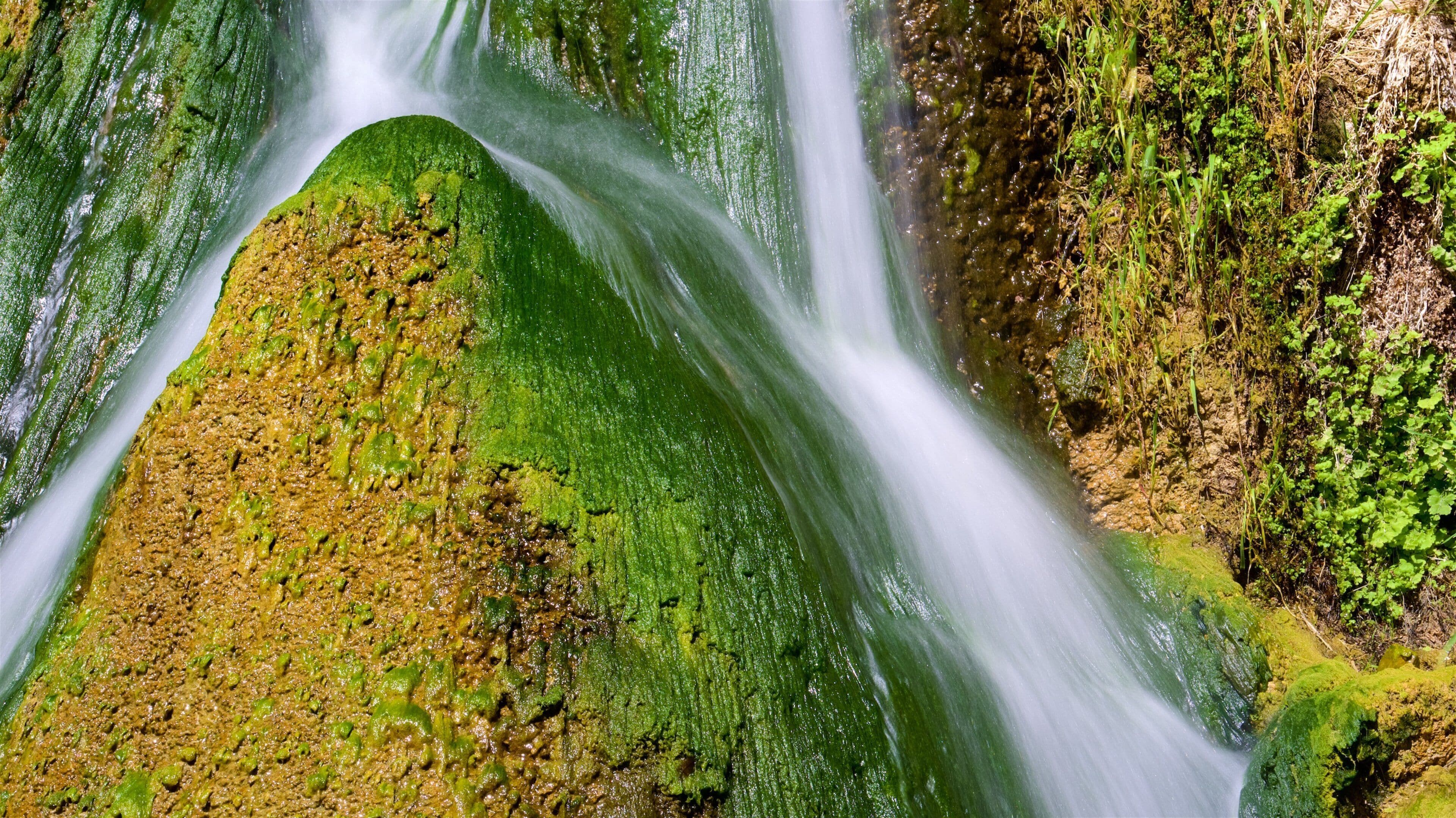 Darwin Falls featuring a cascade