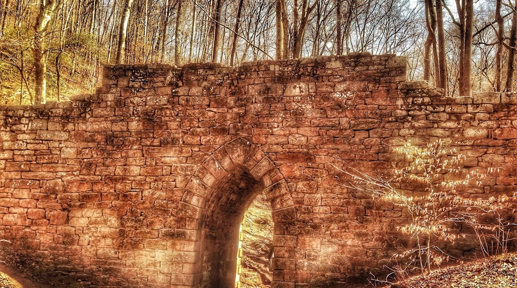 Oldest bridge is South Carolina.
