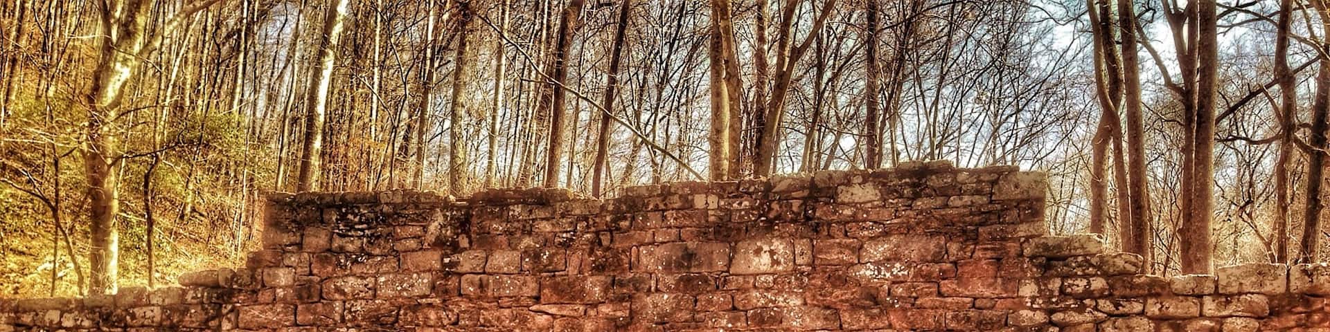 Oldest bridge is South Carolina.