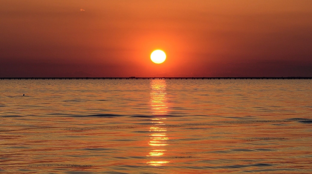 Louisiana sunset at Fontainebleau State Park, La.
Nikon D7100, Nikkor 50mm f1.8 e series vintage lens
