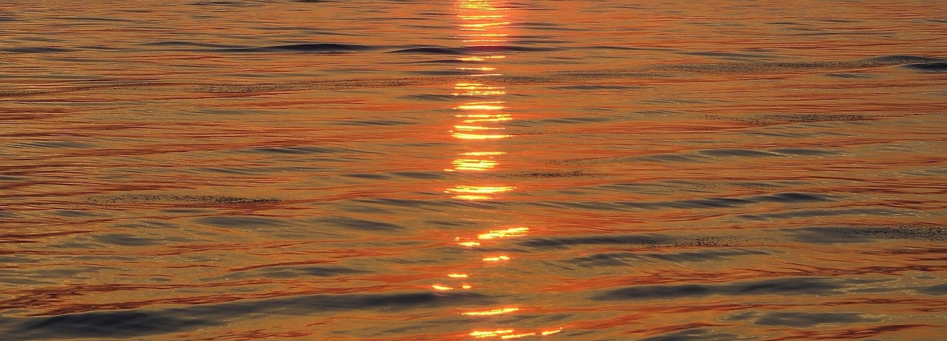Louisiana sunset at Fontainebleau State Park, La.
Nikon D7100, Nikkor 50mm f1.8 e series vintage lens