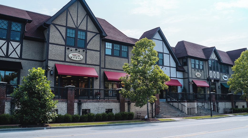 Asheville_BiltmoreVillage_553248621555612343_02