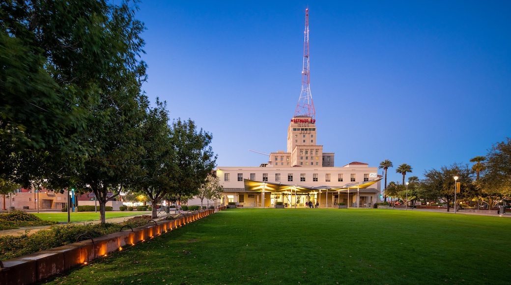 Civic Space Park showing night scenes and a garden