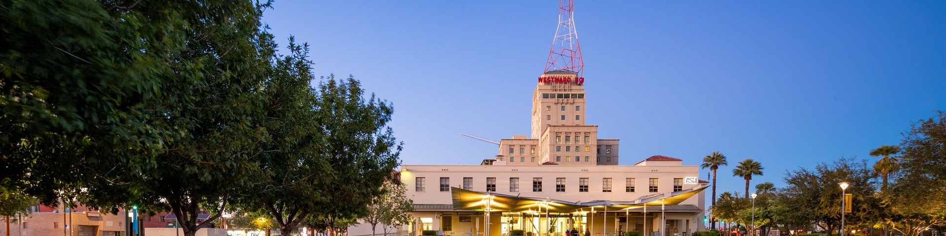 Civic Space Park showing night scenes and a garden