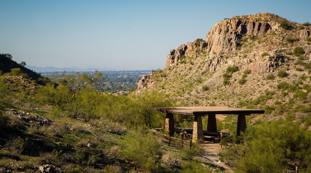 Phoenix Mountain Preserve featuring tranquil scenes and desert views