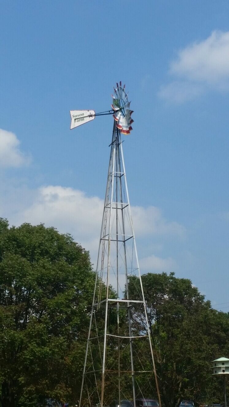 A windmill with a sign that reads "Susan Farm" against a clear blue sky.