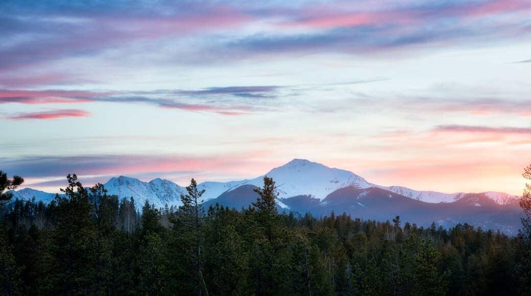 바이어스 피크 황야지대