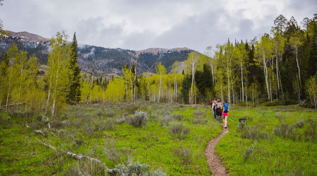 Ptarmigan Peak Wilderness