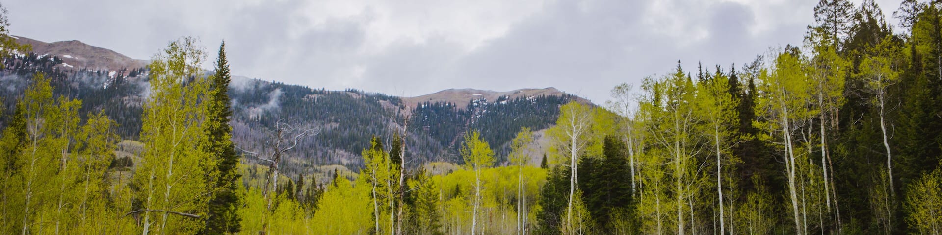 Hiking to Ute Peak, Colorado