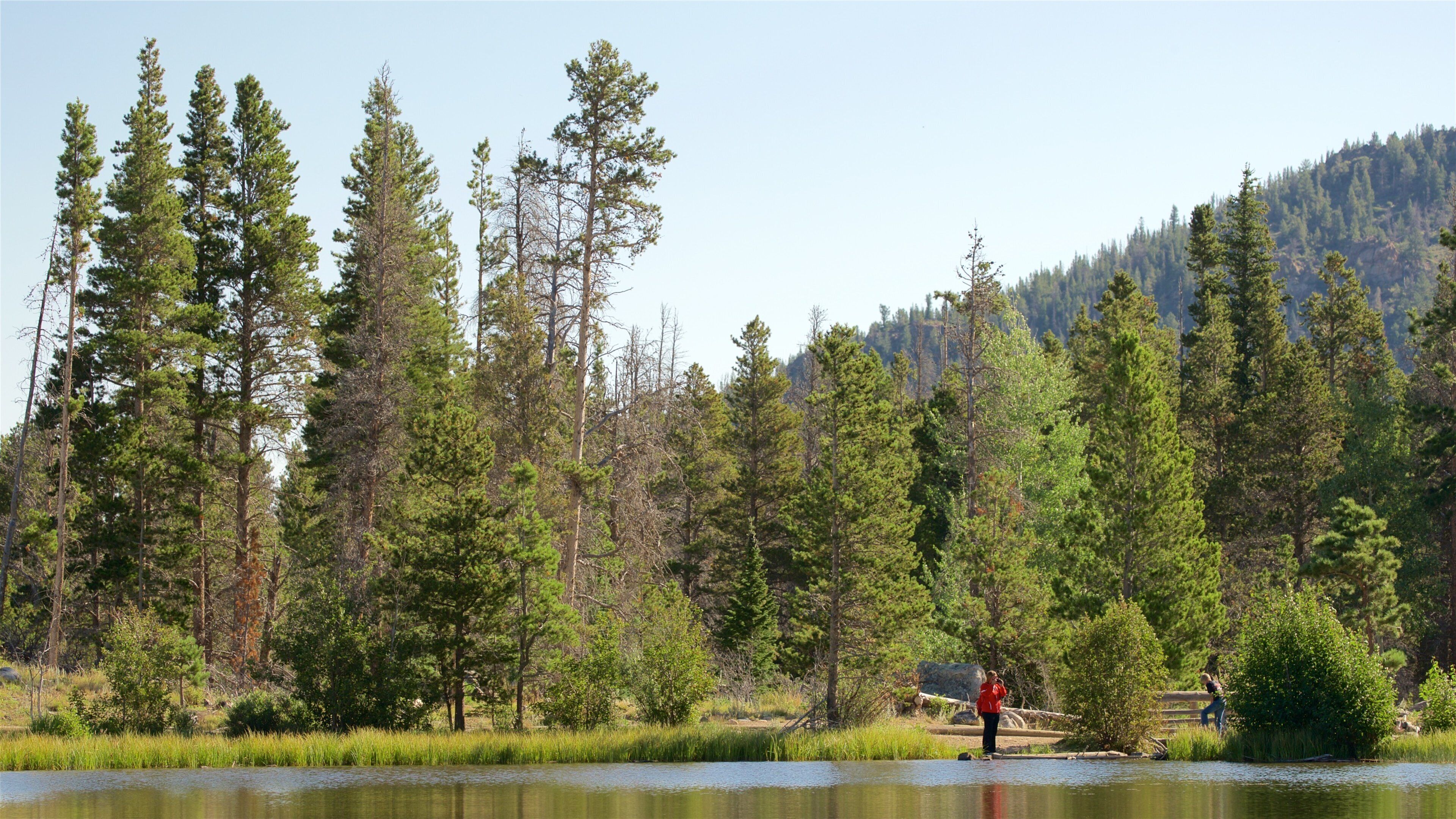 Sprague Lake showing a lake or waterhole