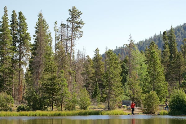 Sprague Lake showing a lake or waterhole