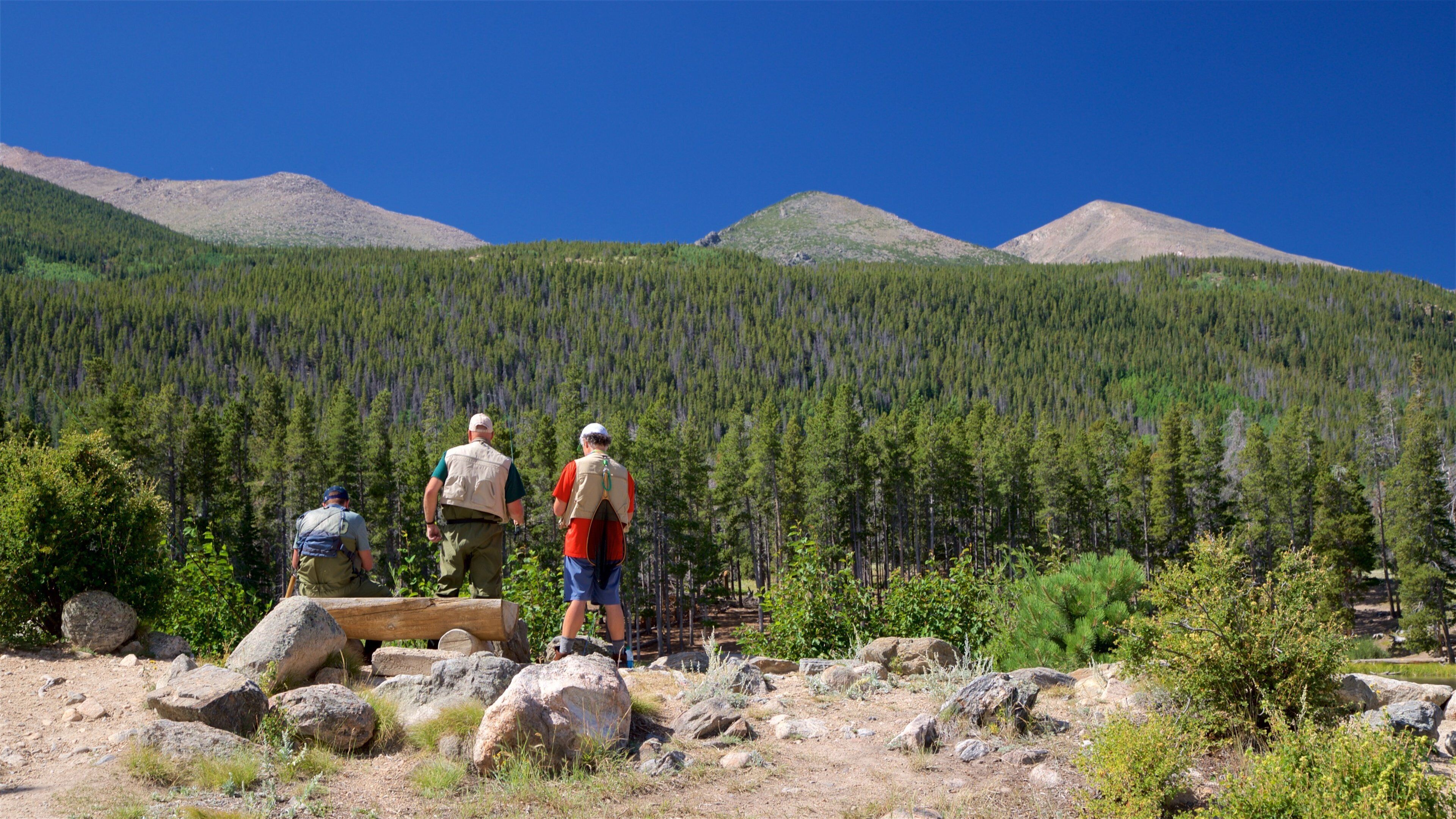 Estes Park som viser rolig landskap i tillegg til en liten gruppe med mennesker