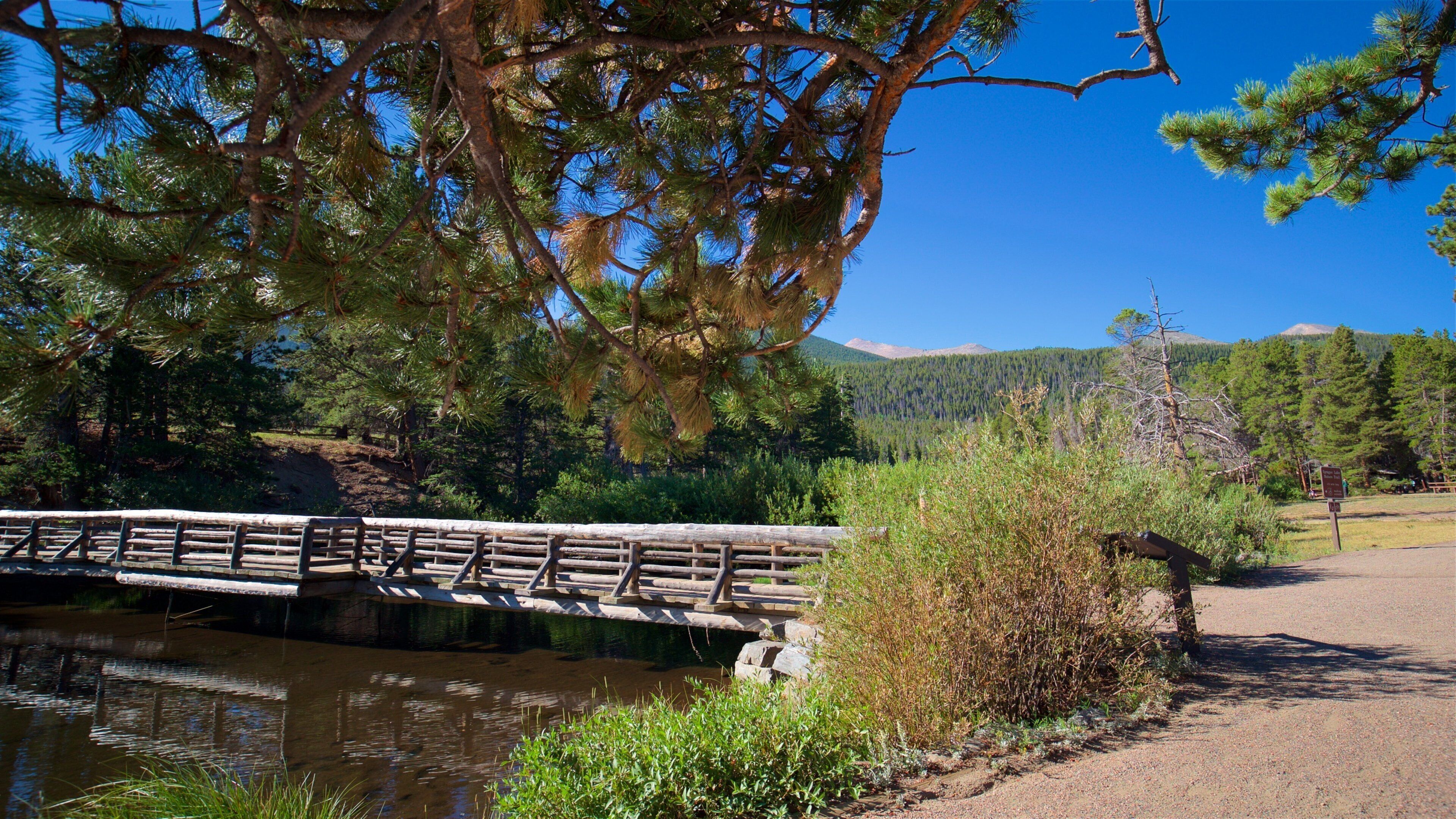 Estes Park fasiliteter samt bro, elv eller bekk og rolig landskap