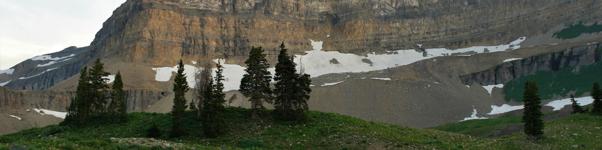 Almost to basecamp (the trees), in another 8 hrs, we would be summitting to the peak in front of us. #BVStrove