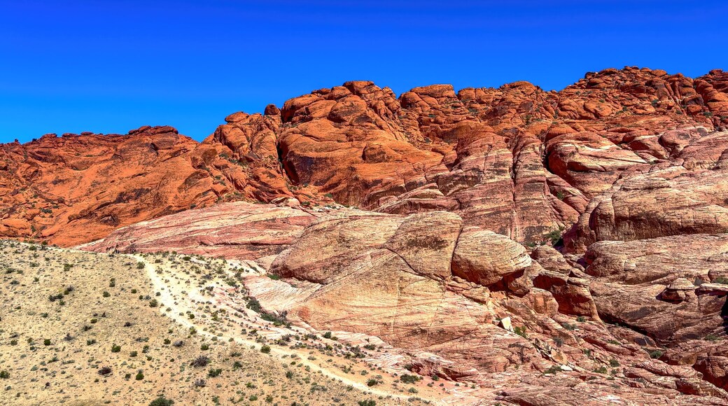 Wonderful Red Rock Canyon in Nevada - travel photography