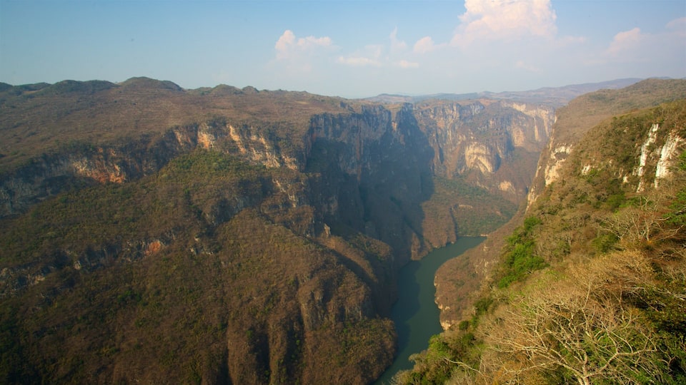 A canyon with steep cliffs and a river running through it.