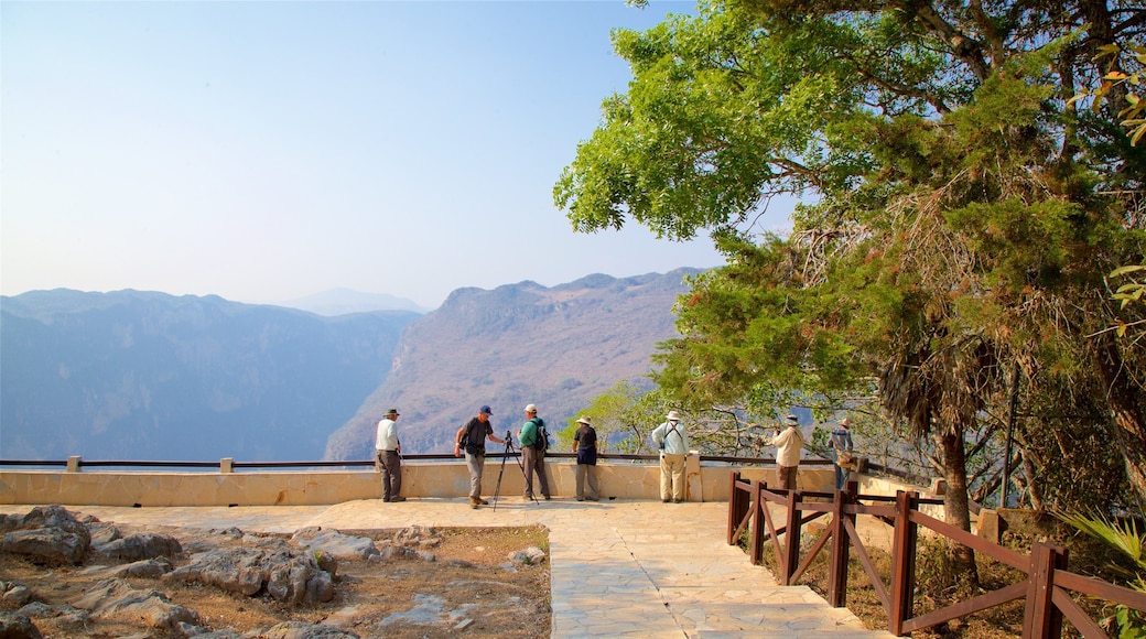 Manos que Imploran Viewpoint featuring views, a gorge or canyon and landscape views