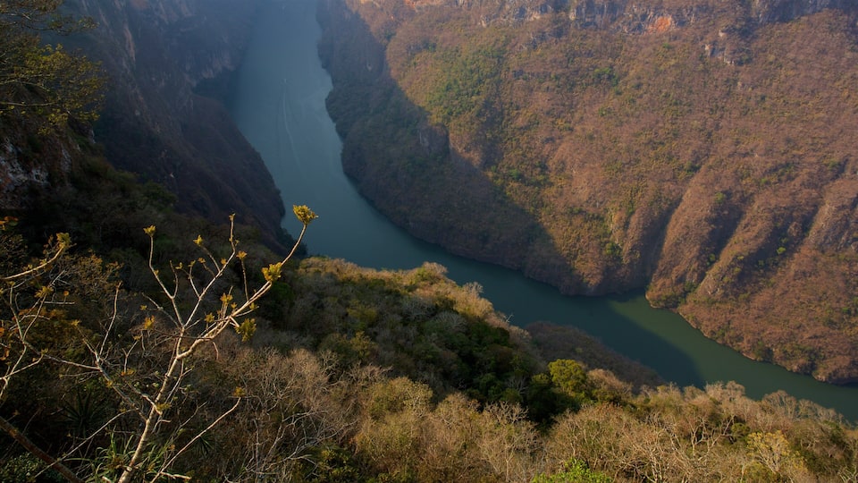 A canyon with a river.