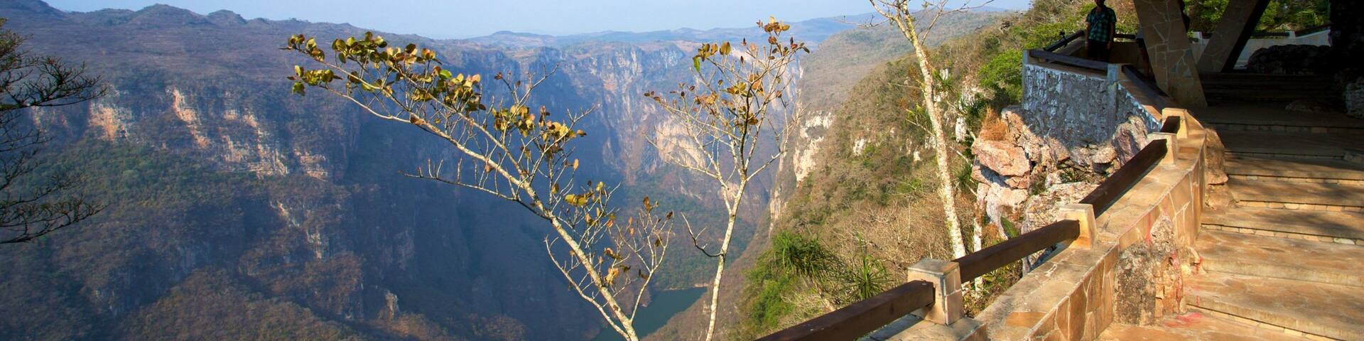 Manos que Imploran Viewpoint showing views, landscape views and a gorge or canyon
