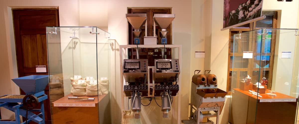 Coffee Museum which includes interior views