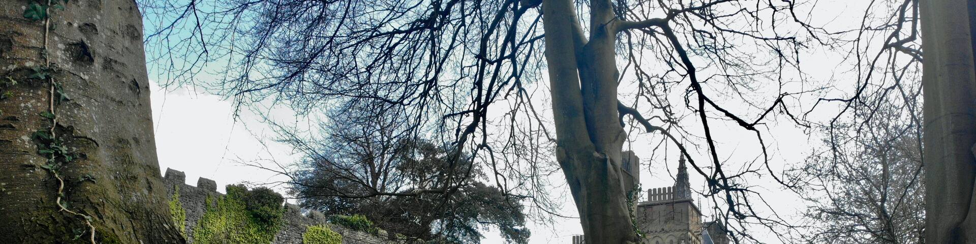 Cardiff Castle in Spring. The daffodils, the national emblem of Wales bloom in Sophia Gardens and border the castle walls creating a very Welsh landscape