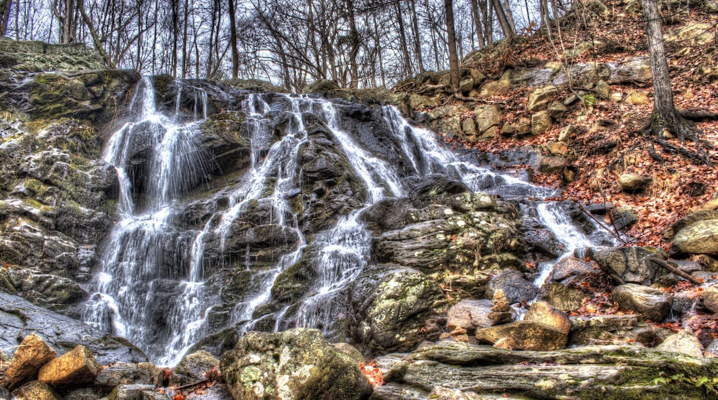 Reserva del condado de Ramapo Valley