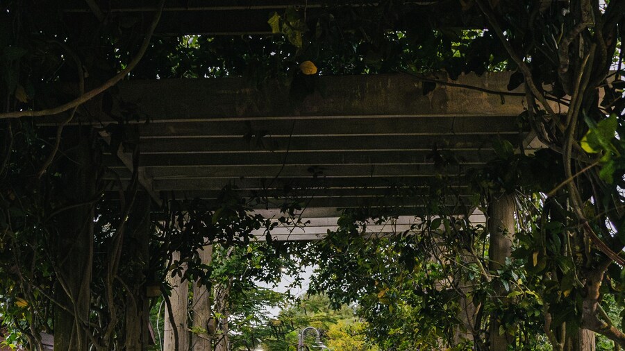 Wooden builds recreational park sidewalk from puerto rico for exercise