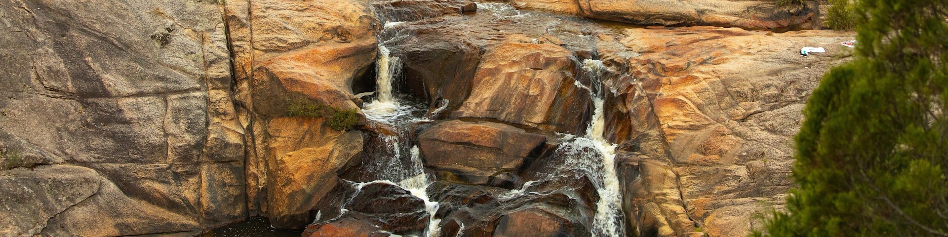 Beechworth featuring a river or creek