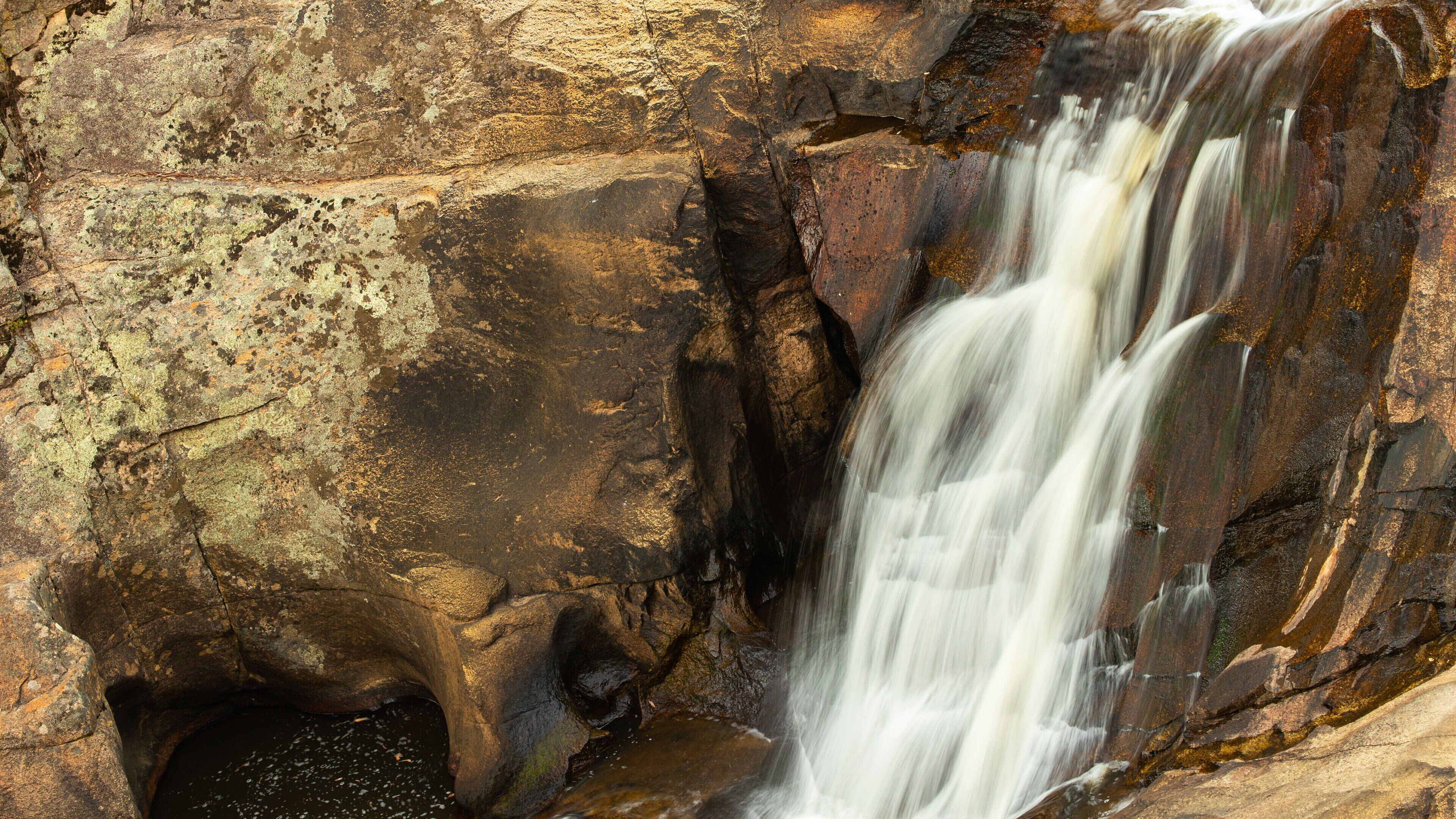 Woolshed Falls which includes a river or creek and a waterfall