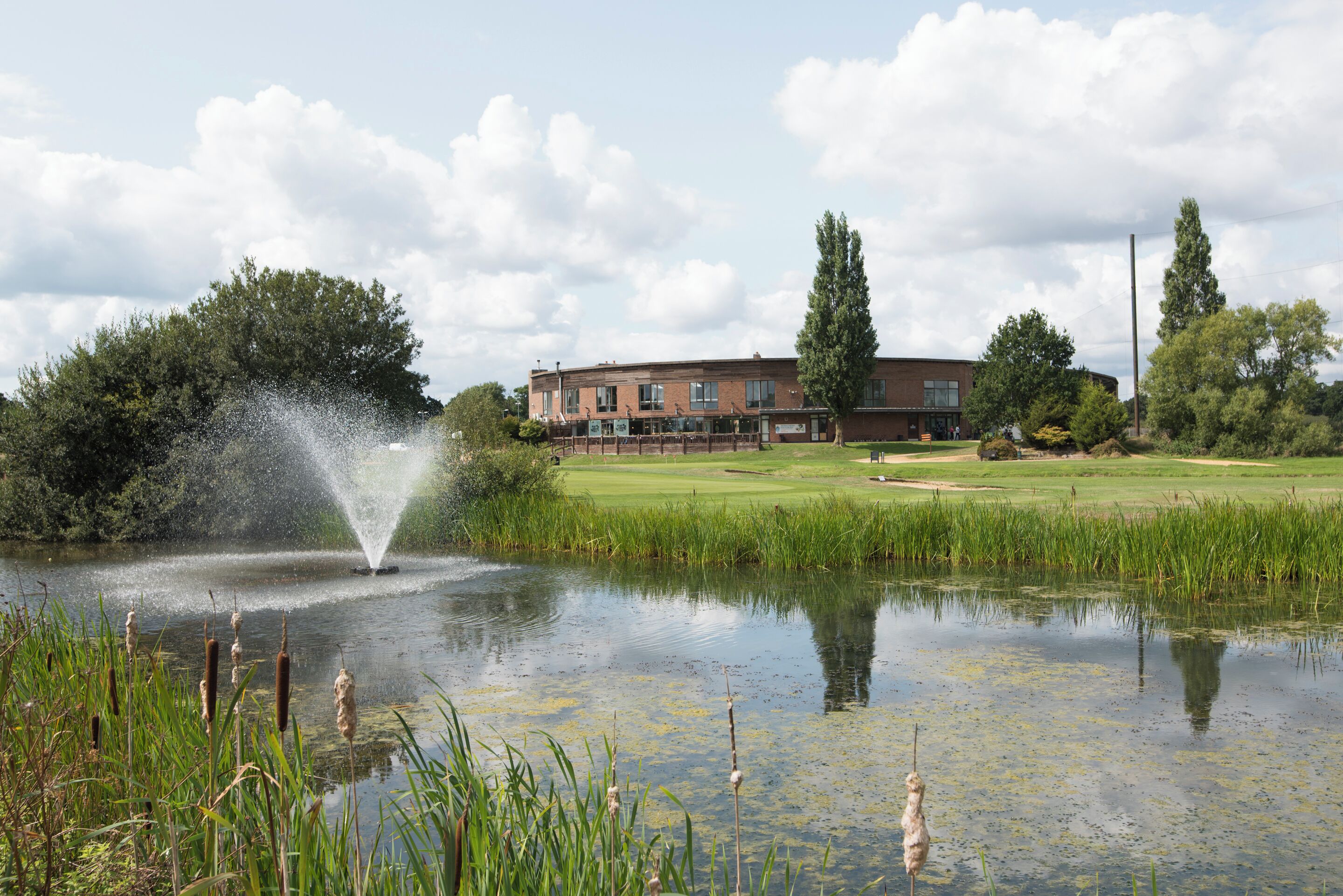 A pond with a fountain, cattails, and a building in the background.