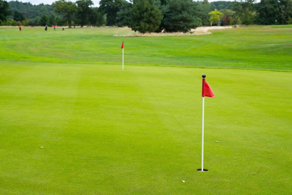 A golf course with two red flags marking the holes.