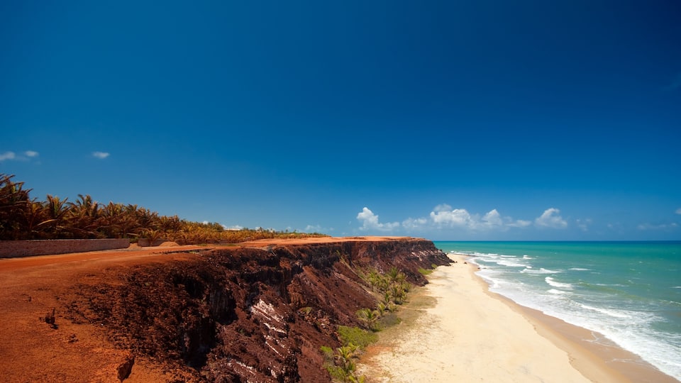 A beach with a steep cliff, palm trees, and a clear blue sky.