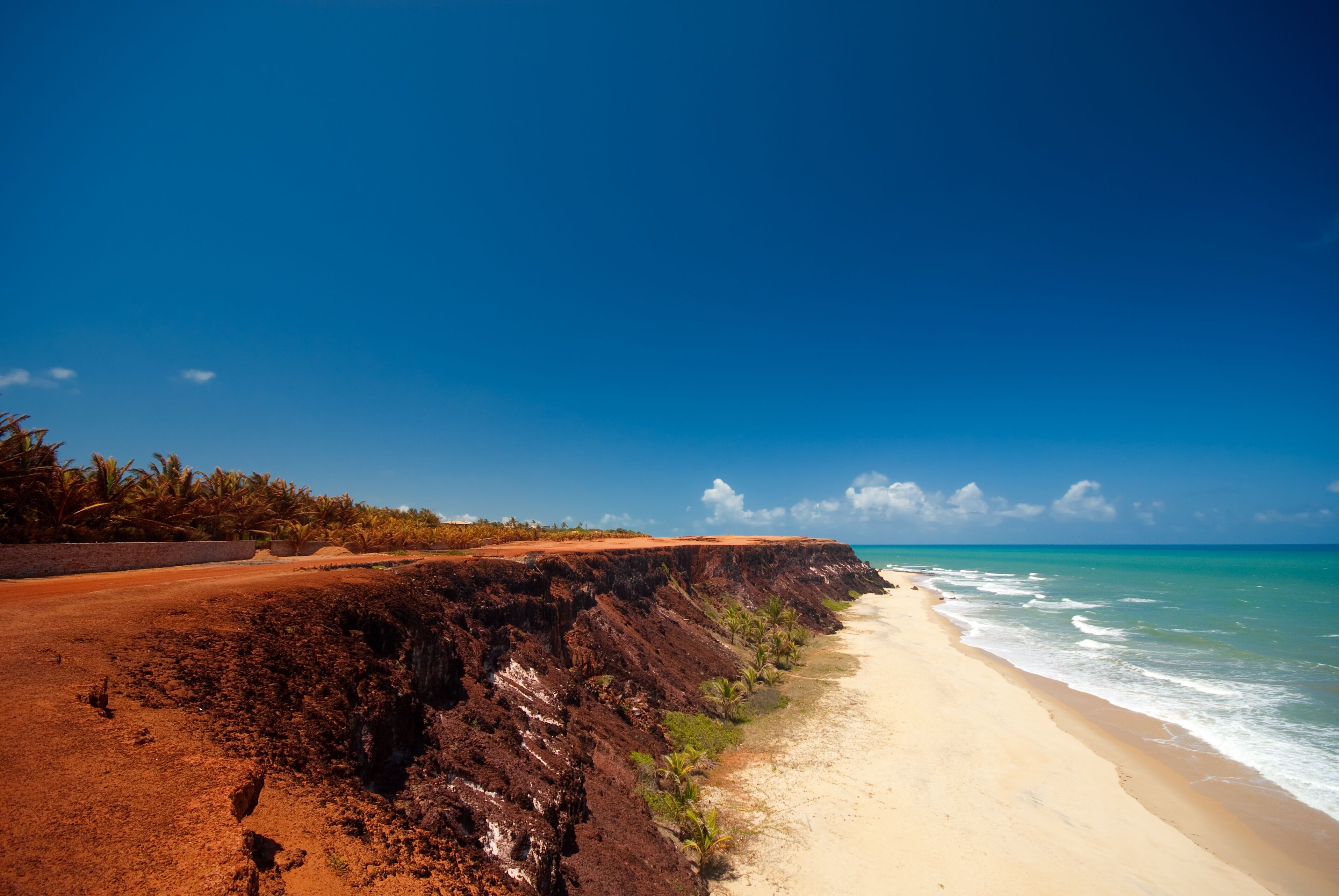 A beach with a steep cliff, palm trees, and a clear blue sky.