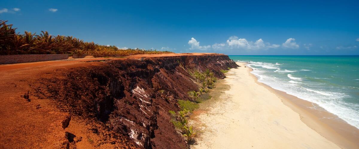 A beach with a steep cliff, palm trees, and a clear blue sky.