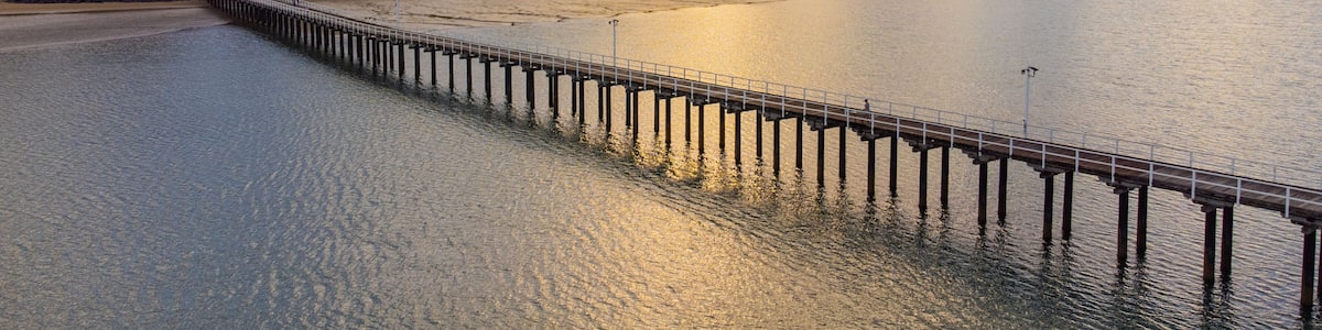 Urangan Pier which includes a bridge, landscape views and general coastal views